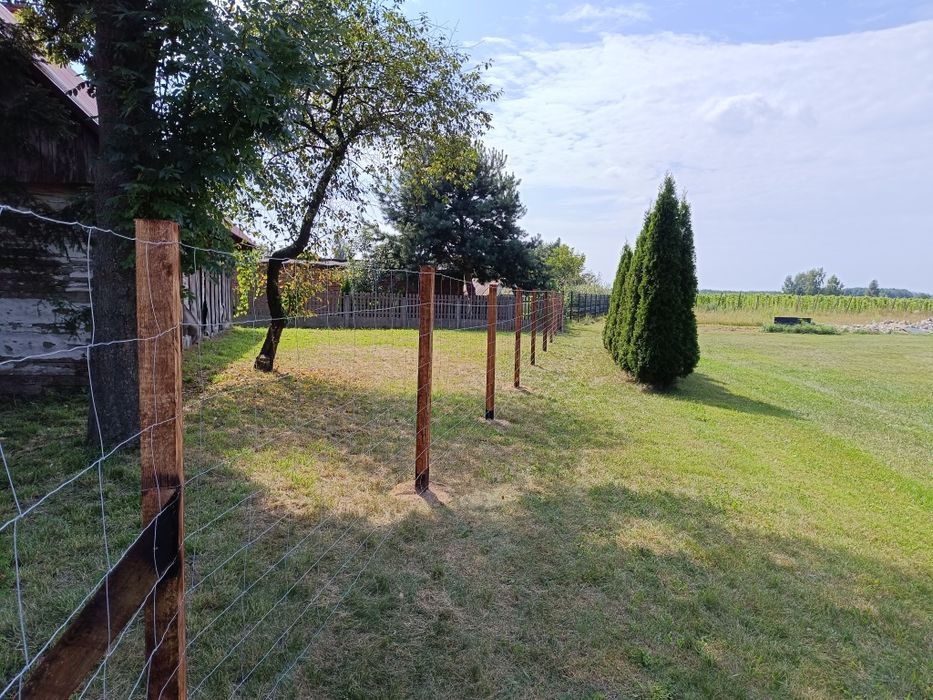 Ogrodzenia tymczasowe słupek betonowy drewniany metalowy  siatka leśna