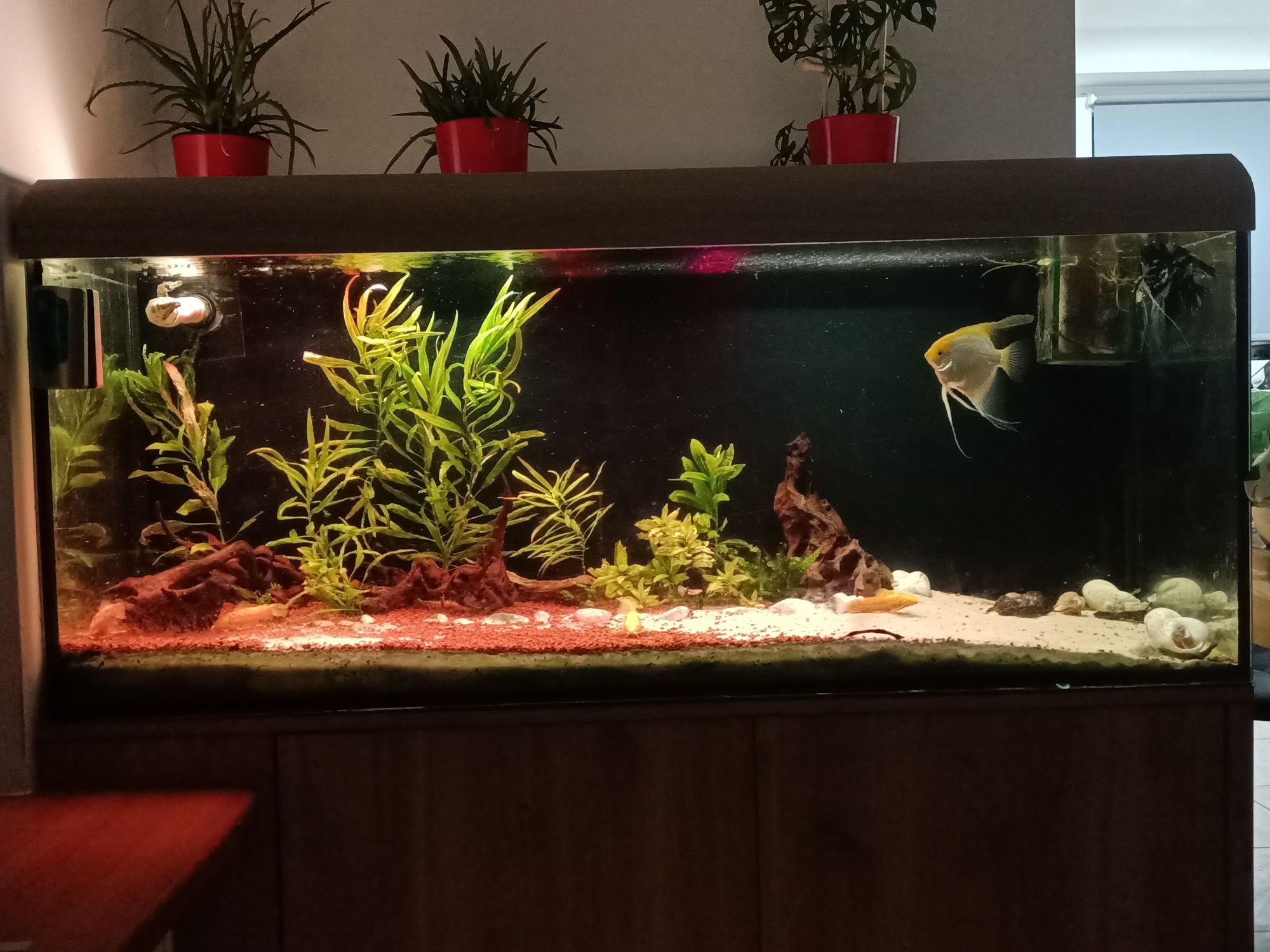 Akwarium 450l 150cmx50cmx60cm