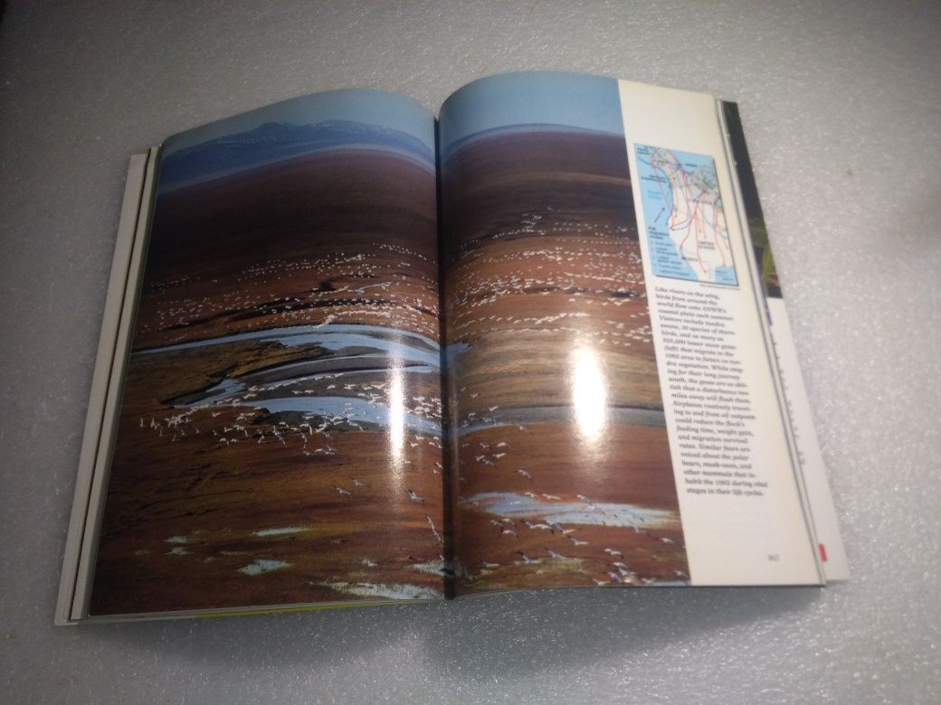 Antiga Rara Revista com Capa dourada da National Geographic