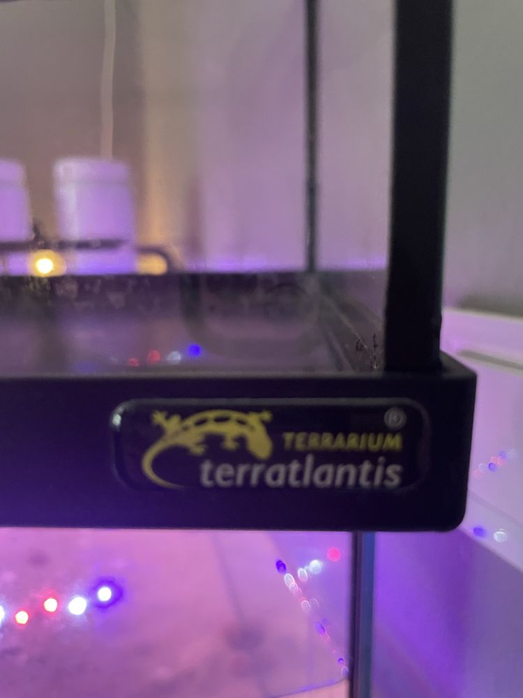 Aquario para tartaruga