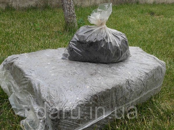Шампиньон королевский, готовый. Компост + мицелий + покровный грунт