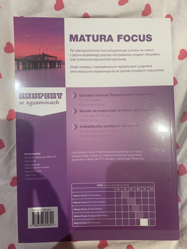 Matura focus 5 workbook