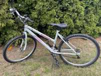 Rower 26’’ damski
