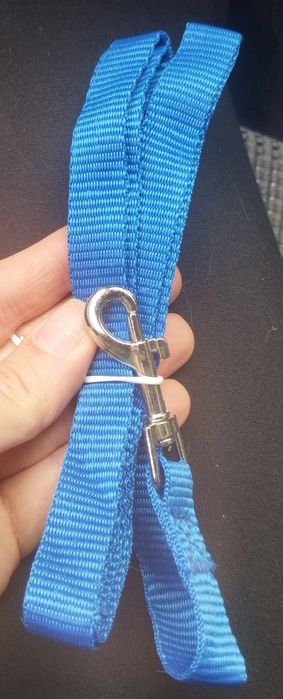 Arnês com trela gato