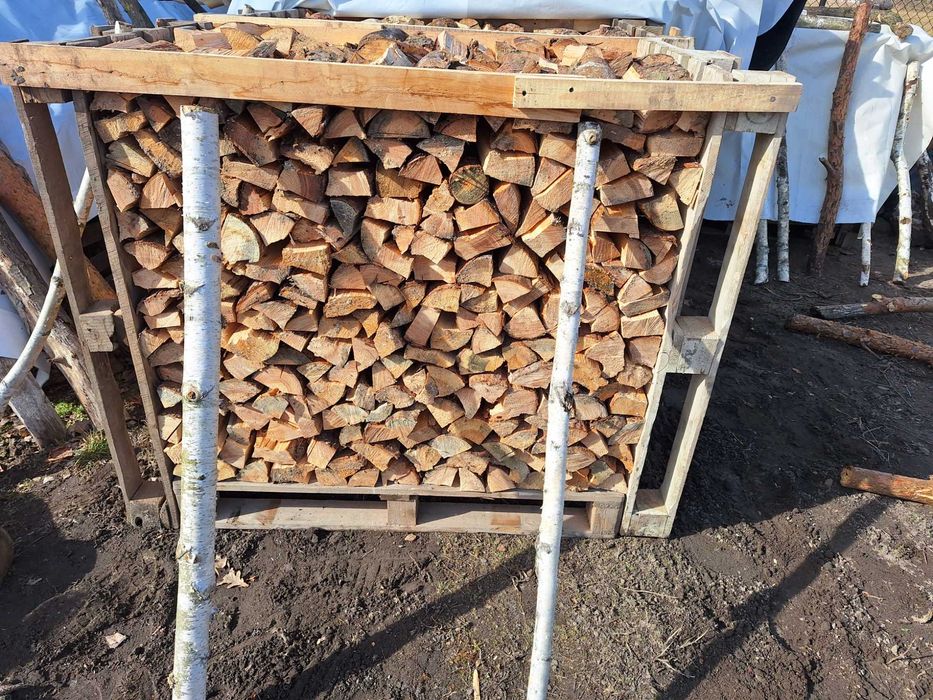 Drewno sosnowe na opał