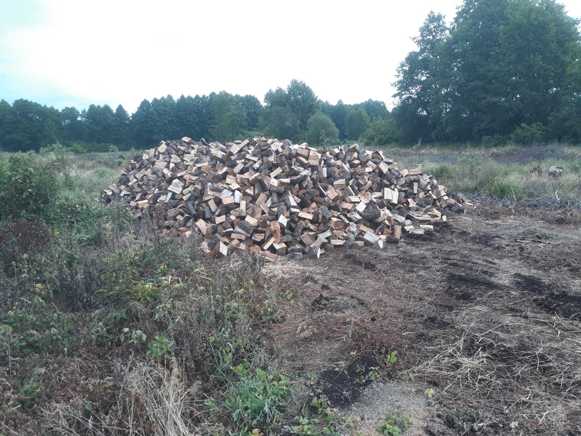 Drewno opałowe, kominkowe, olcha
