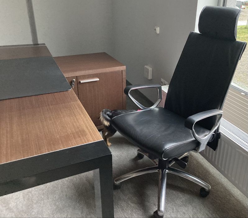 Meble gabinetowe/biurowe