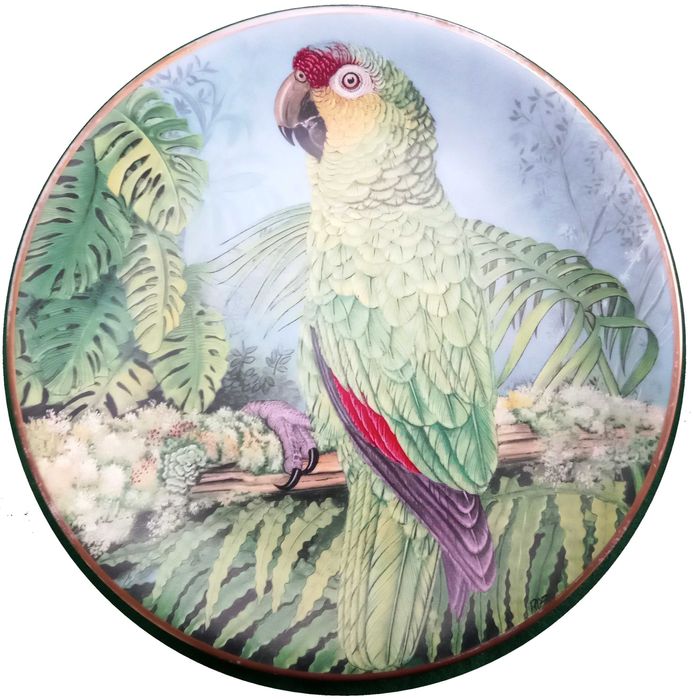 Jóias Vivas da Floresta Tropical - - - - - Pratos