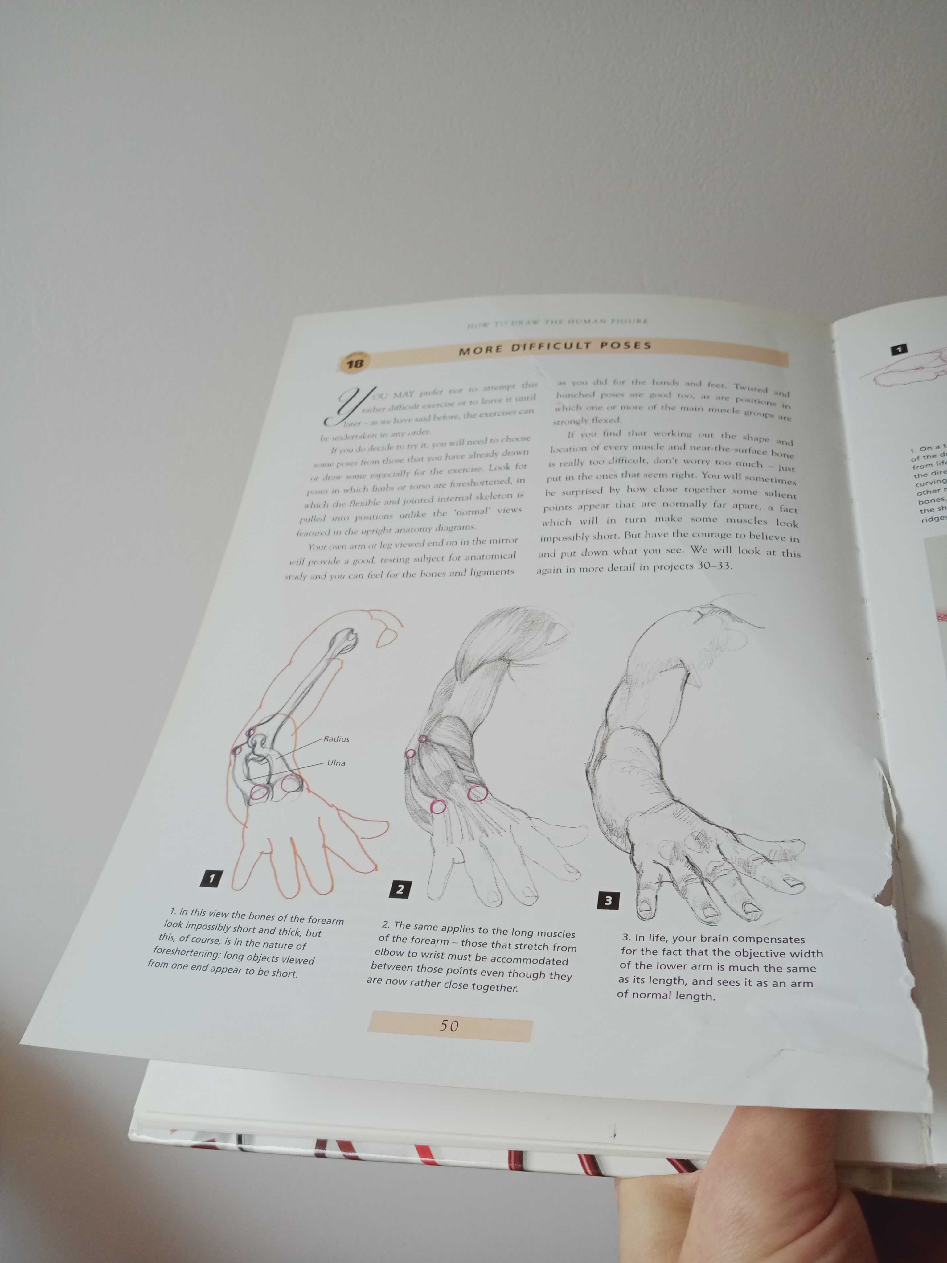How to Draw The Human Figure, John Raynes, Jody Raynes