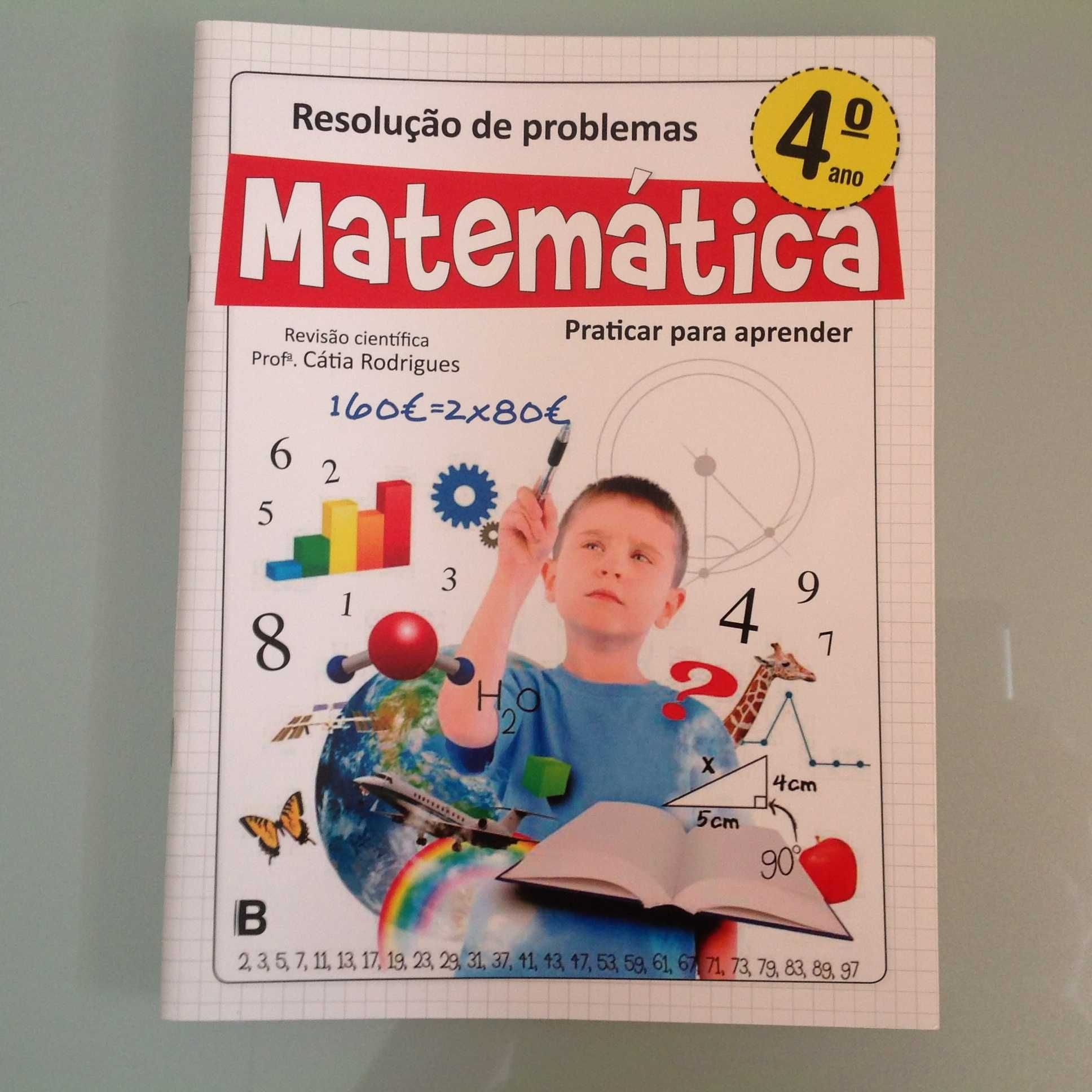 Livros de Apoio para o 4º Ano - Matemática e Português (c/portes)