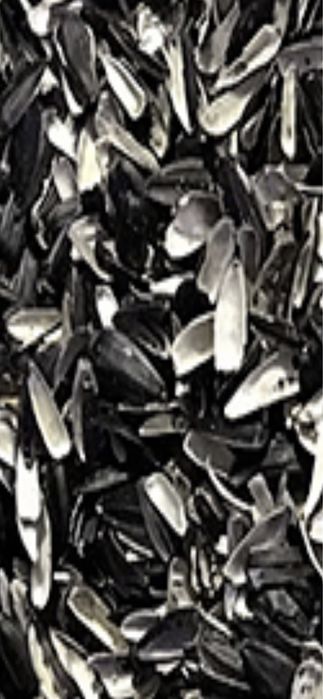 Куплю Відход соняшника та Лушпиння!