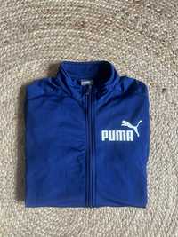 Bluza puma rozniar L