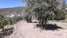 Terreno Para Construção c/ 2  Pequenos Armazéns