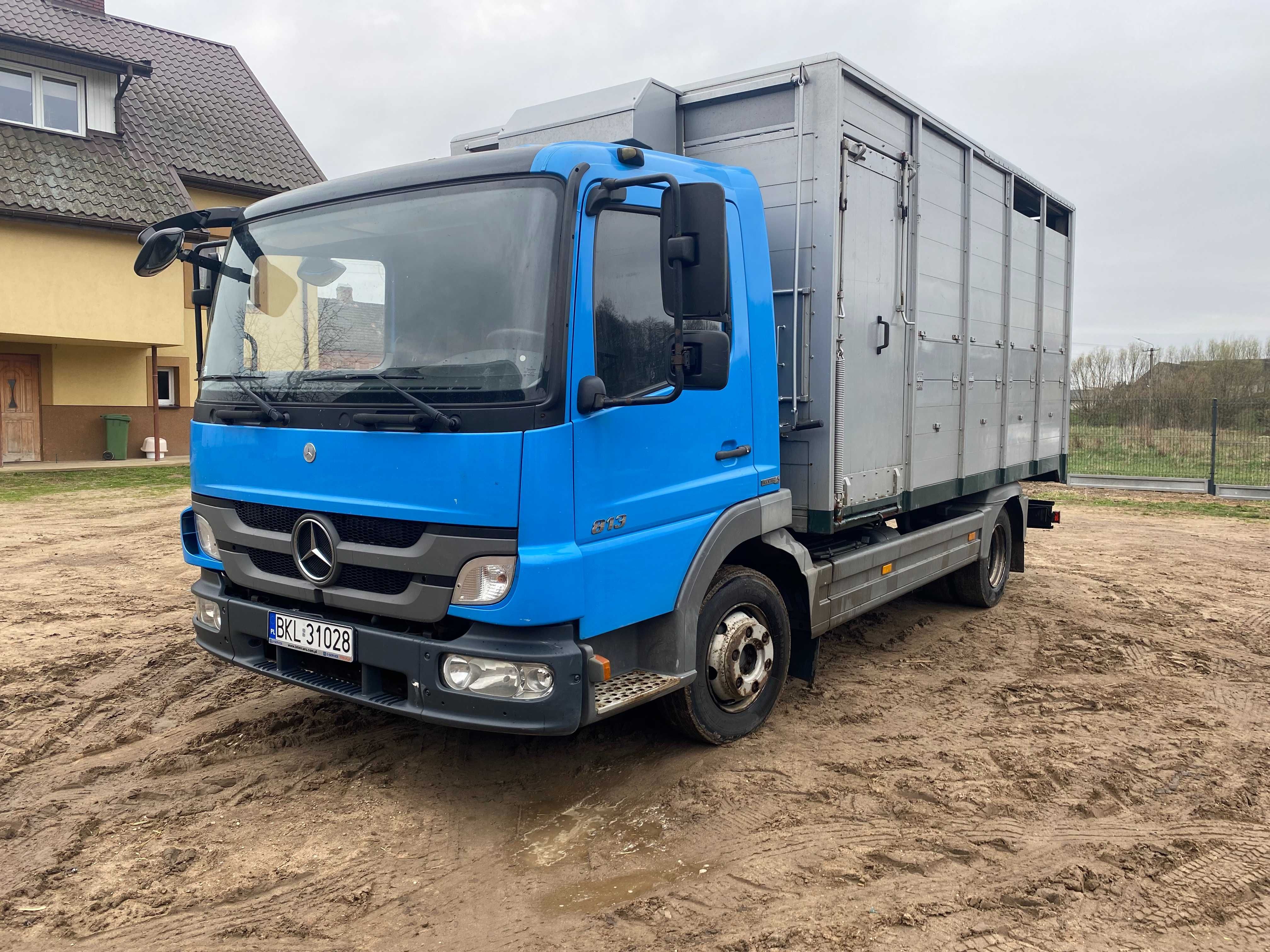 Sprzedam Mercedes Atego 813 do przewozu zwierząt / bydła / żywca