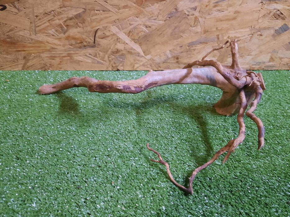 Korzeń do akwarium Red Moore Wood nr 1173 o wymiarach 41/15/23