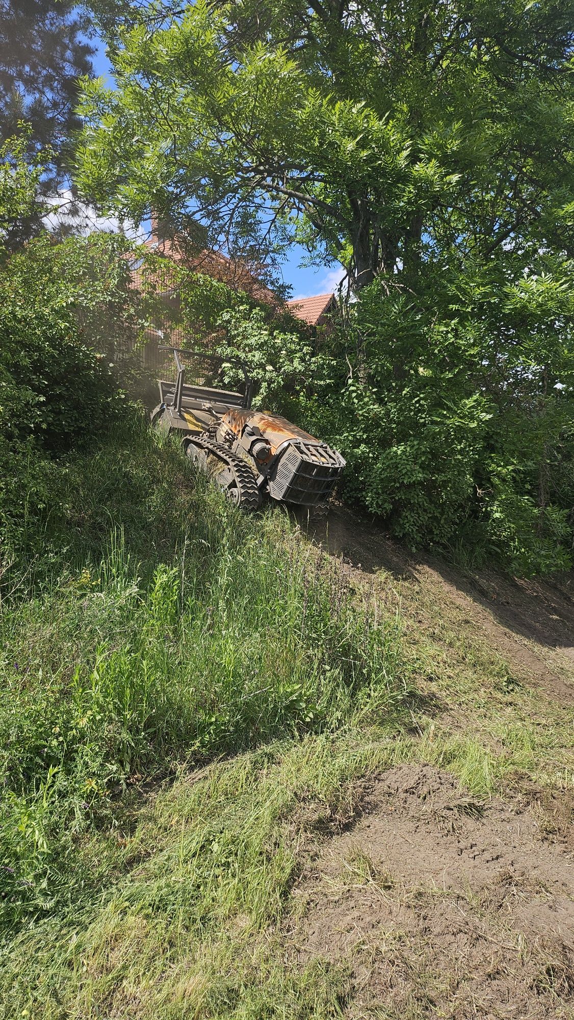 Mulczer ,wycinanie drzew,krzewów