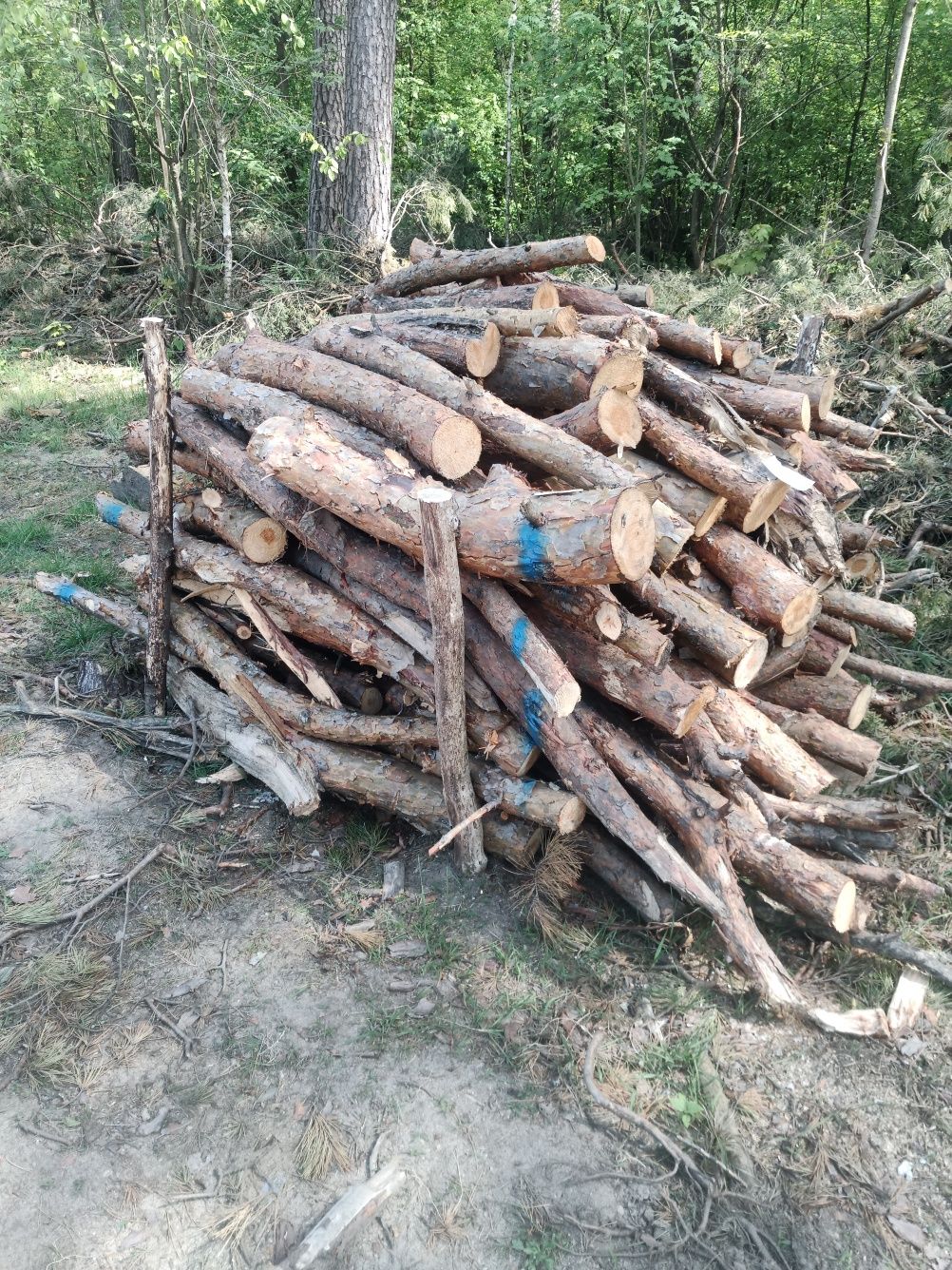 Sprzedam drewno opałowe