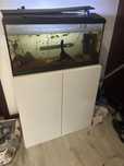 Aquario 100l  e movel branco de arrumacao