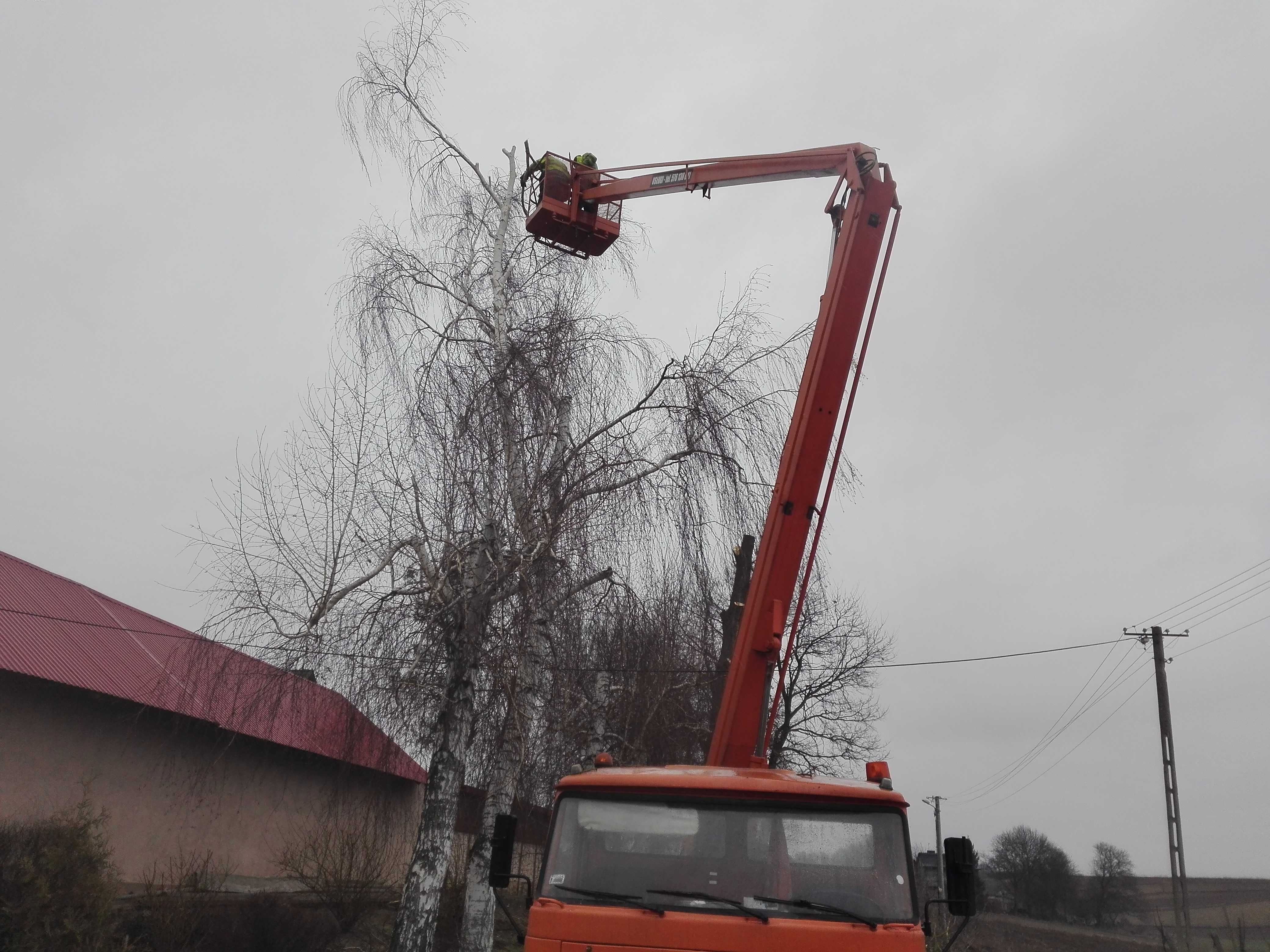 Zwyżka wycinka drzew podnośnik koszowy