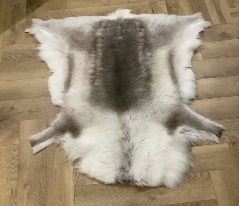 Skóra Renifera z LAPONii roz. XXL