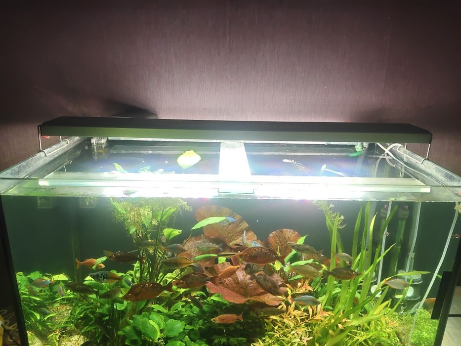 Светильник для аквариума светодиодный серия " Люкс"!!!