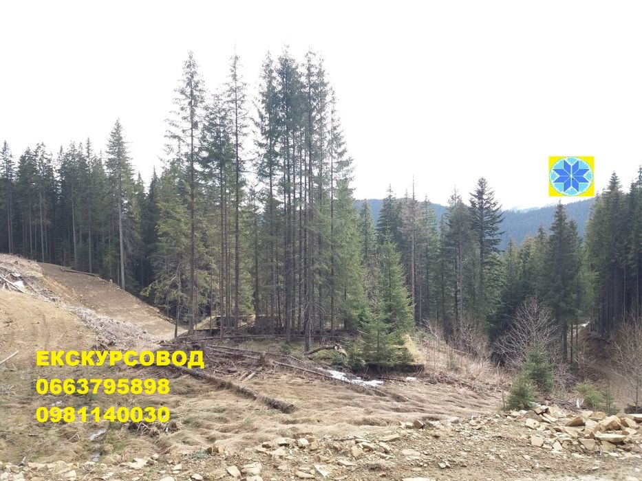 Маковиця екскурсовод гід Скелі Довбуша екскурсія Яремче Маковиця тури