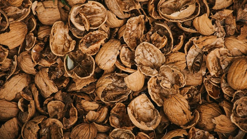 Куплю горіхову шкаралупу