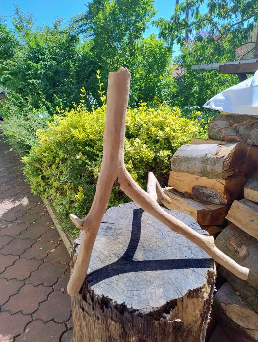 Kożenie ozdobne duży i mały