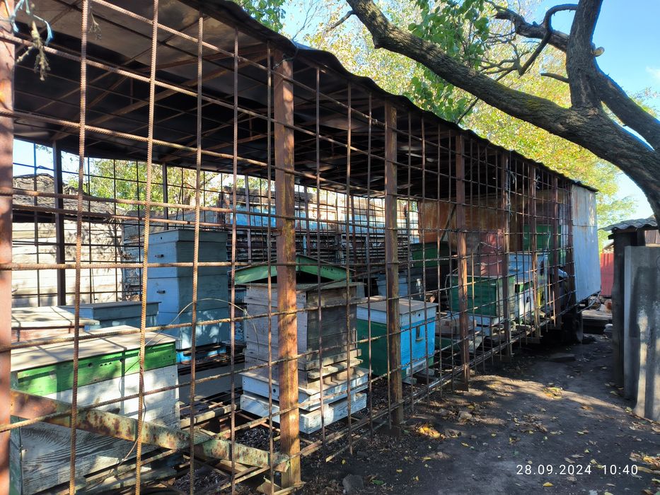 Павільйон для бджіл, причеп