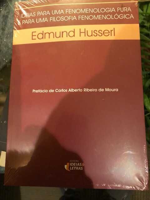 Ideias Fenomenologia Husserl NOVO