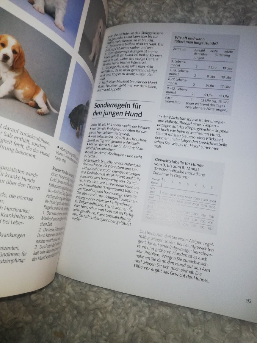 Hunde niemiecka książka o psach rasy psów