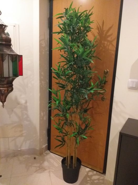 COMO NOVA Planta artificial bambu IKEA 170 altura,valor fixo