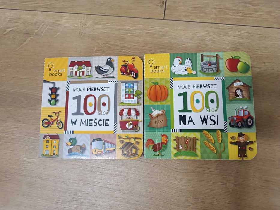 Moje pierwsze 100 słów