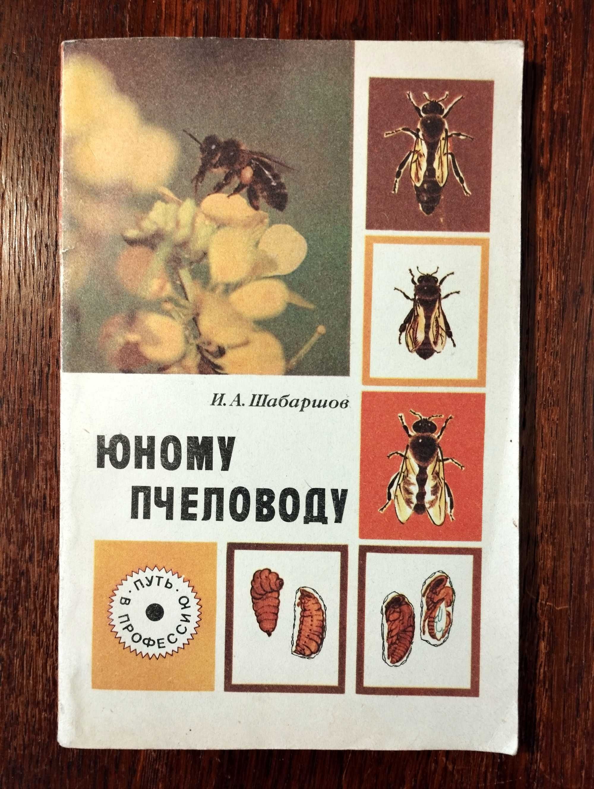 Книги по пчеловодству. Книги о пчелах. Юному пчеловоду.
