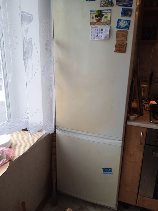 Холодильник фірми Ardo