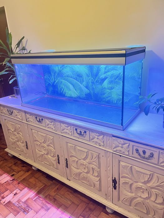 Aquario grande 120x40x45