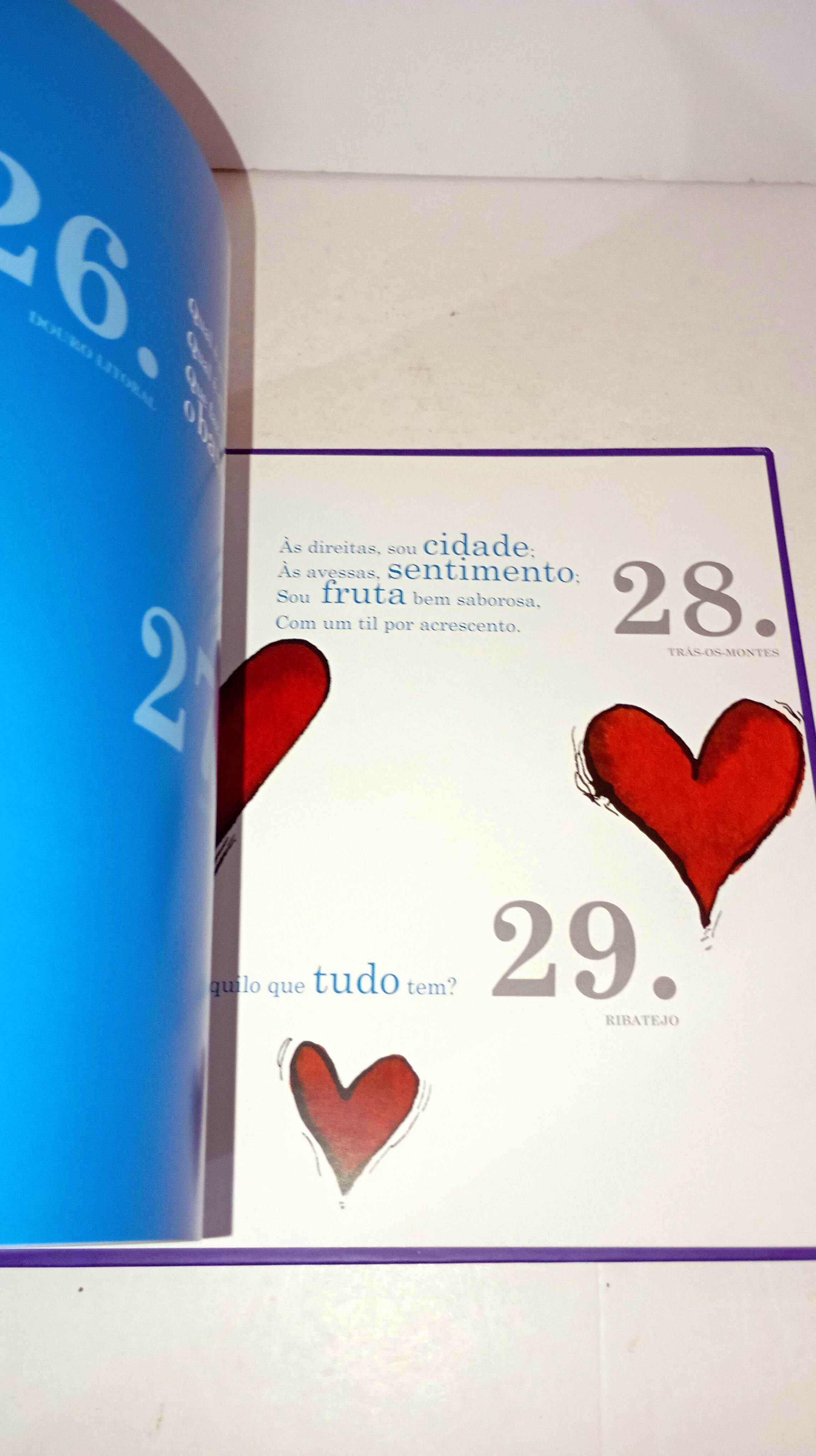 O Livrinho das Adivinhas