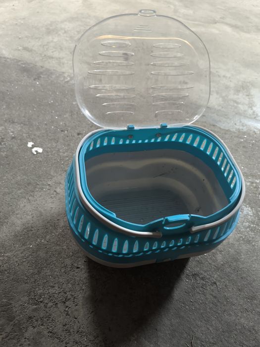 Casota coelho estimação