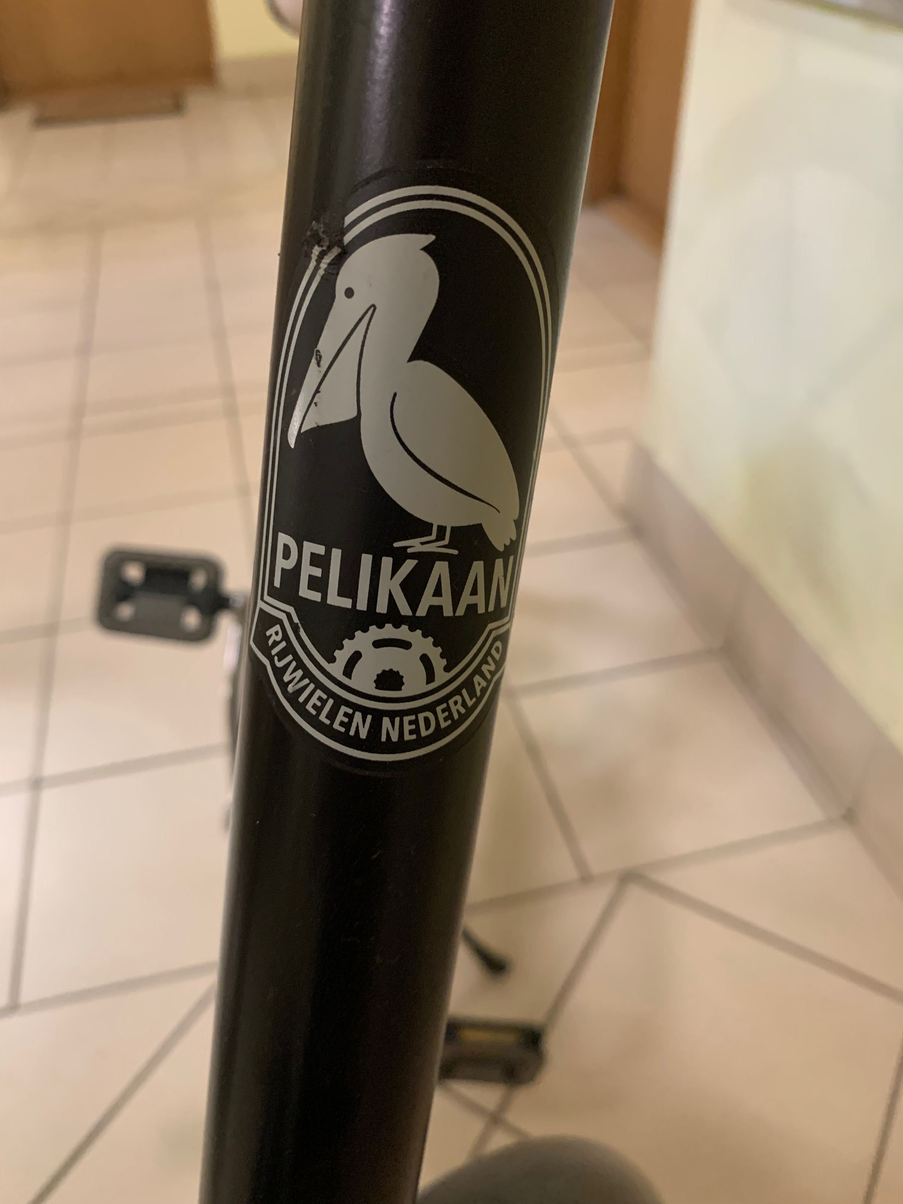 Rower holenderski Pelikan