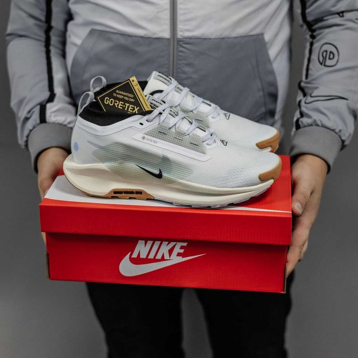 Кросівки Nike Pegasus Trail 5 Gore-Tex White/Beige premium