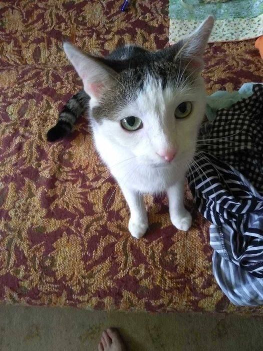 Filip czeka na swoją szansę