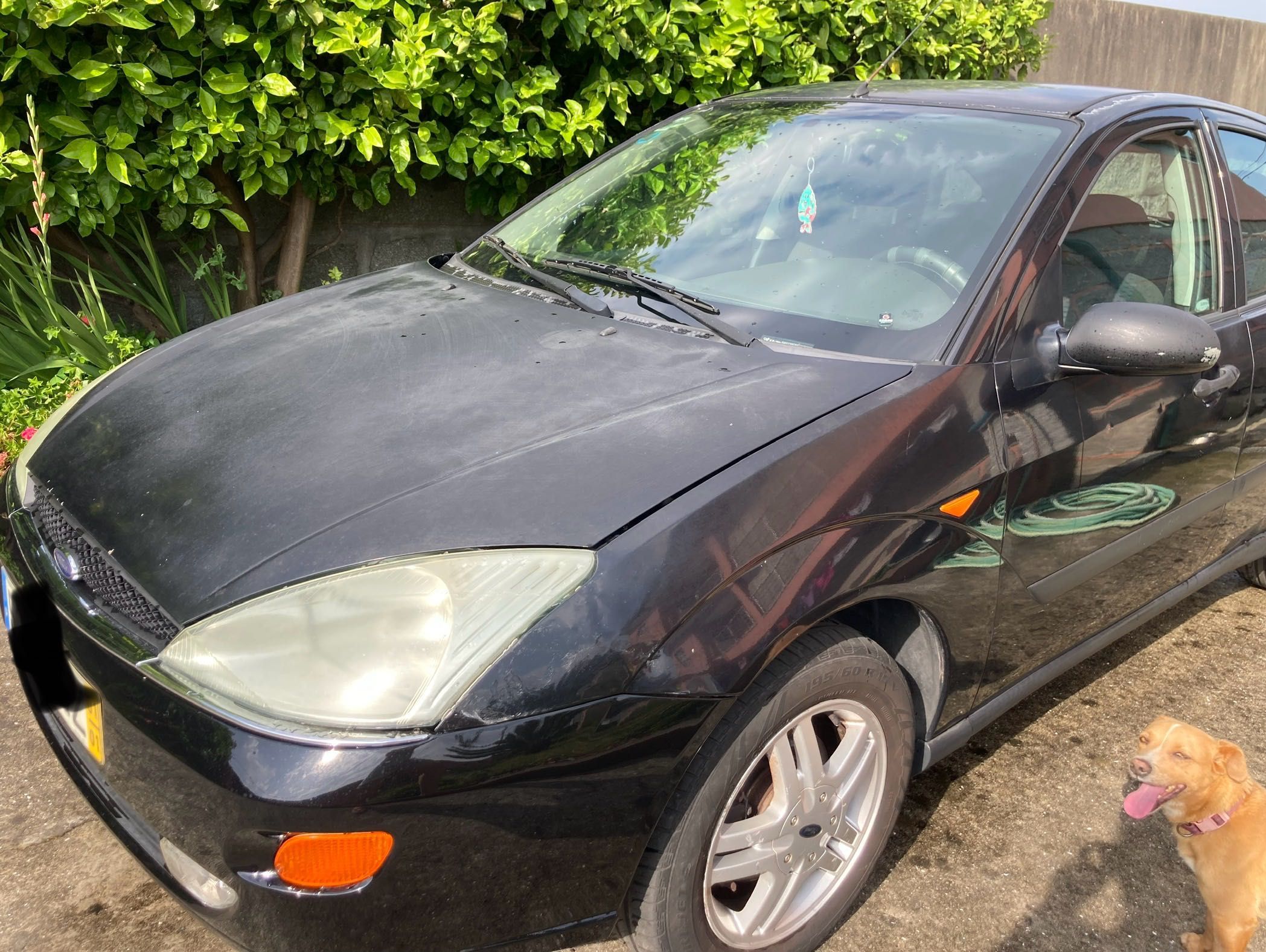 Ford Focus 1.6 100cv . 2001