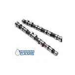 Cams Newman PH4 Saxo Cup/C2 Cup/106 GTI/206 GTI