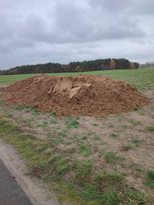 Obornik, Pomiot kurzy, idealny nawóz analiza składu.