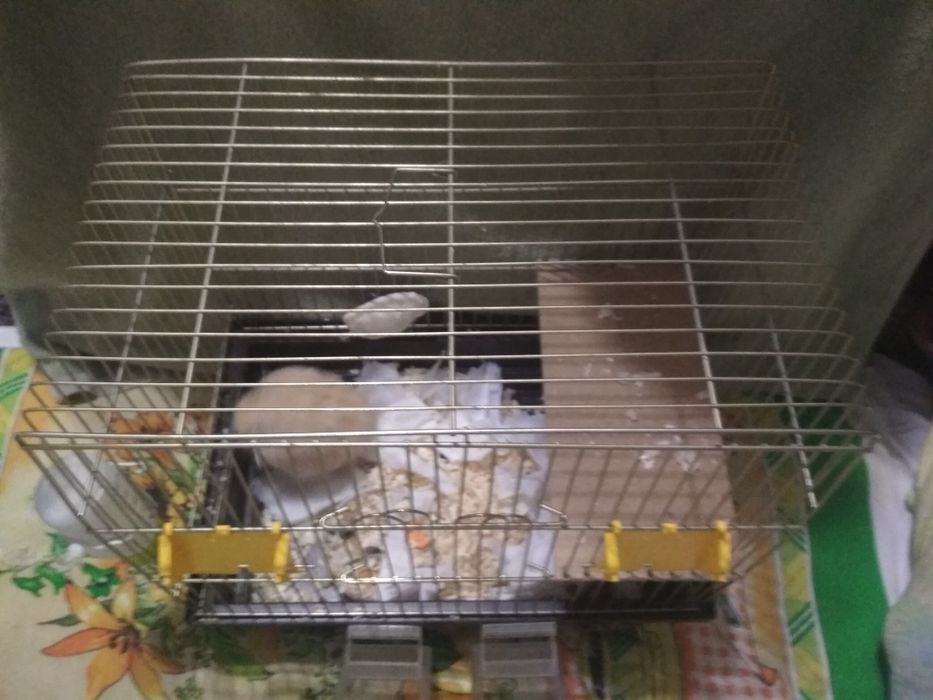 Продам клітку для гризунів або птахів