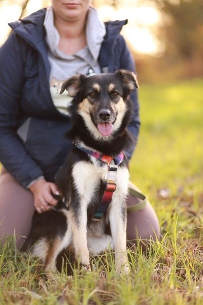 Mela - wyjątkowa i delikatna suczka poleca się do adopcji