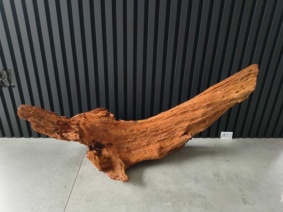 Korzeń MANGROWCA XXL 1002 akwarium terrarium 96x35x48 Unikat Duży