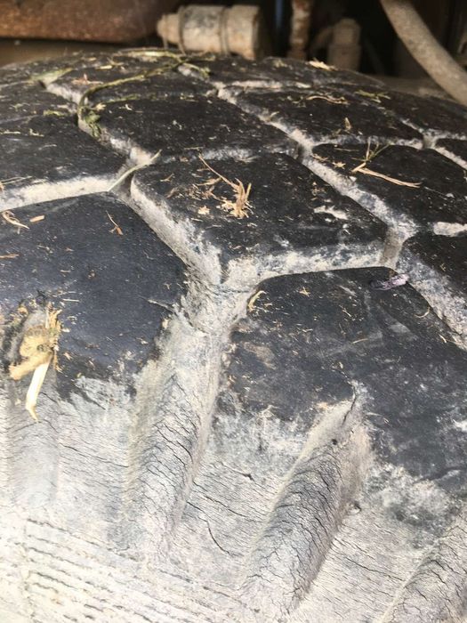 Грузовий автомобіль МАЗ 5549