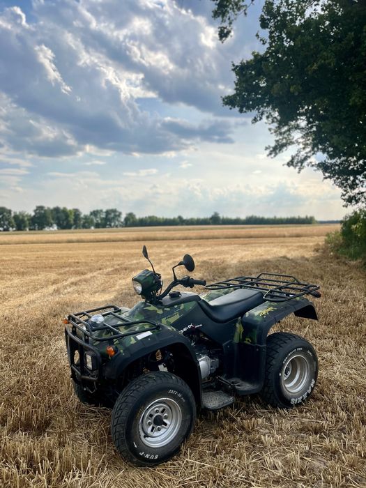Quad //Bashan//250//Wał kardana// DOKUMENTY// TRANSPORT//Linhai,Loncin