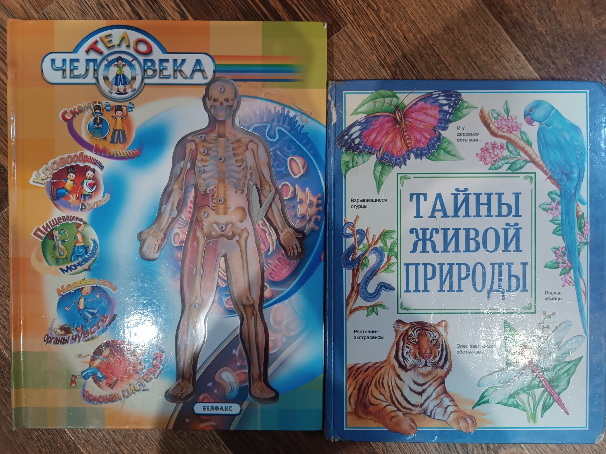 Энциклопедии тело человека, тайны живой природы